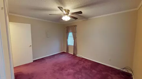 305 Pine Ln, Washington, NC 27889 photo 15