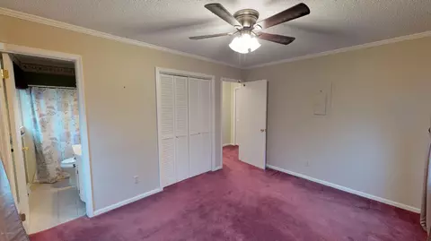 305 Pine Ln, Washington, NC 27889 photo 20