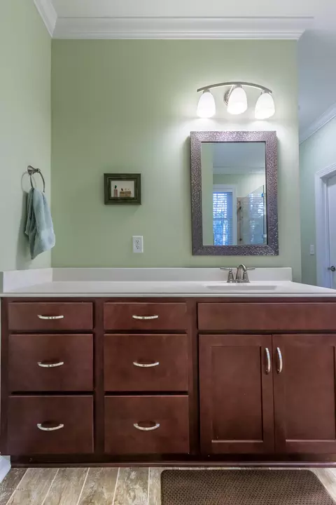 173 Mansfield Ct, Hampstead, NC 28443 photo 33