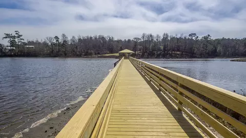 173 Mansfield Ct, Hampstead, NC 28443 photo 74