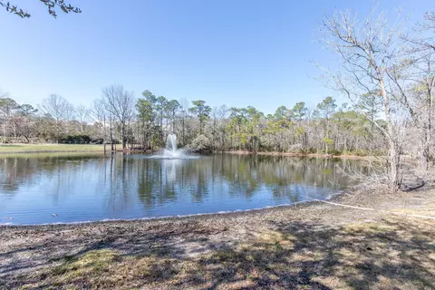 173 Mansfield Ct, Hampstead, NC 28443 photo 82