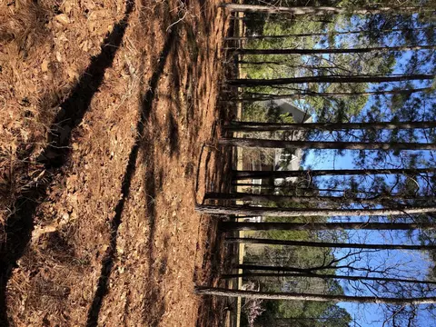 3222 Lakebay Rd, Vass, NC 28394 photo 1