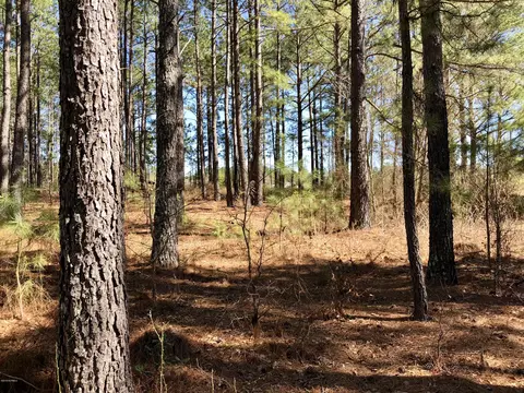 3222 Lakebay Rd, Vass, NC 28394 photo 23