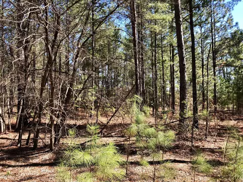 3222 Lakebay Rd, Vass, NC 28394 photo 21