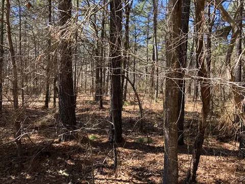 3222 Lakebay Rd, Vass, NC 28394 photo 24