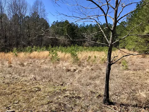 3222 Lakebay Rd, Vass, NC 28394 photo 25