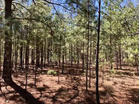 3222 Lakebay Rd, Vass, NC 28394 photo 20