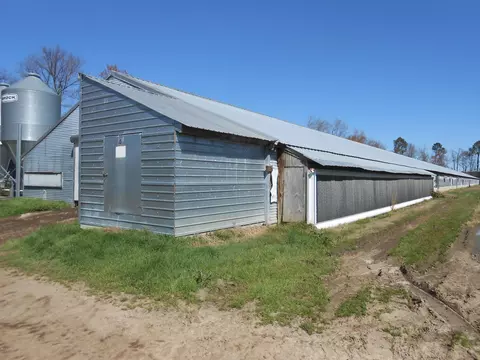 109 Fish Hawk Ln, Windsor, NC 27983 photo 13