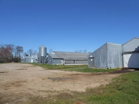 109 Fish Hawk Ln, Windsor, NC 27983 photo 1