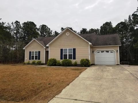 103 Blueberry Fields Rd, Maple Hill, NC 28454 photo 2