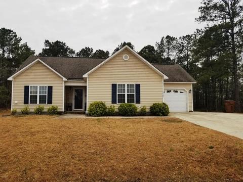 103 Blueberry Fields Rd, Maple Hill, NC 28454 photo 1