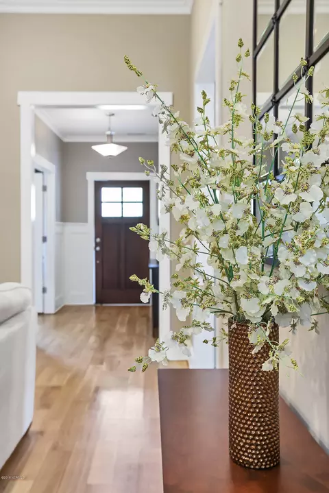 66 Hydrangea Ln, Hampstead, NC 28443 photo 4