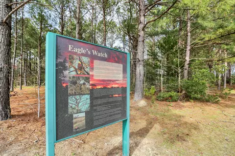 66 Hydrangea Ln, Hampstead, NC 28443 photo 31