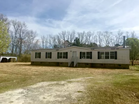 168 Red Tip Ln, Willard, NC 28478 photo 1