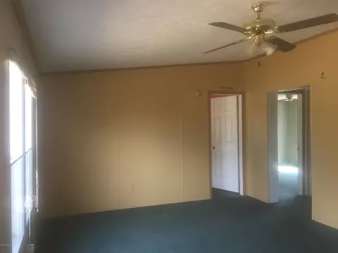 168 Red Tip Ln, Willard, NC 28478 photo 12