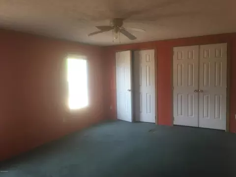 168 Red Tip Ln, Willard, NC 28478 photo 7