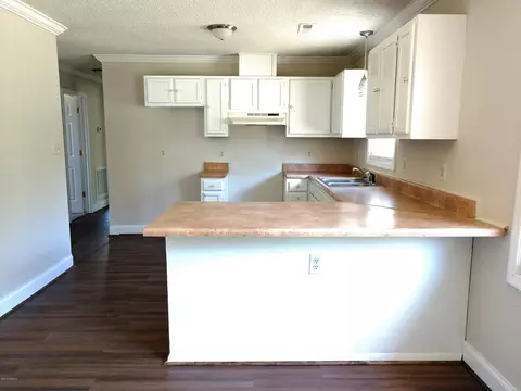 707 Lee Rd, Maple Hill, NC 28454 photo 7