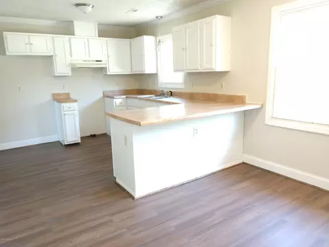 707 Lee Rd, Maple Hill, NC 28454 photo 8