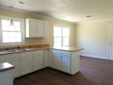 707 Lee Rd, Maple Hill, NC 28454 photo 6