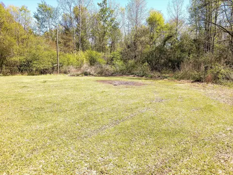 707 Lee Rd, Maple Hill, NC 28454 photo 3