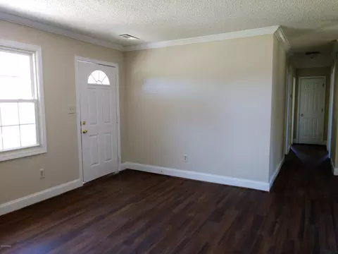 707 Lee Rd, Maple Hill, NC 28454 photo 4