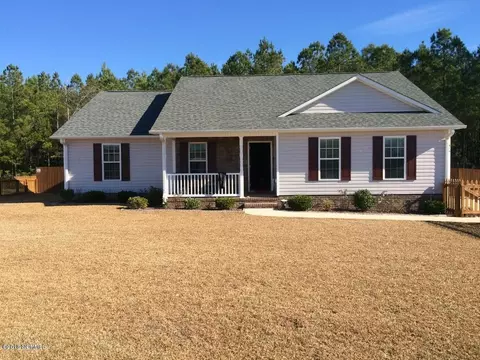 315 Springcreek Ct, Hubert, NC 28539 photo 1