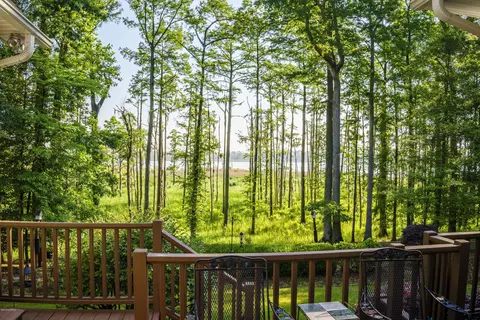 204 Delaware Dr, Chocowinity, NC 27817 photo 38