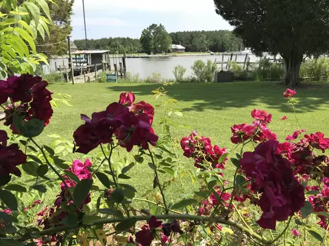 382 Loop Rd, Belhaven, NC 27810 photo 23