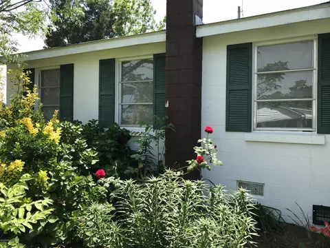 382 Loop Rd, Belhaven, NC 27810 photo 9