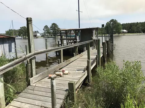 382 Loop Rd, Belhaven, NC 27810 photo 3