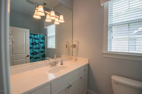 165 Firefly Dr, Wallace, NC 28466 photo 30