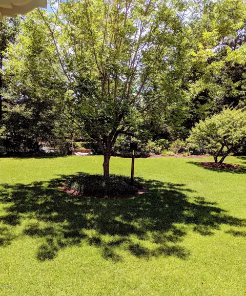 1204 Lupton Dr, Oriental, NC 28571 photo 15
