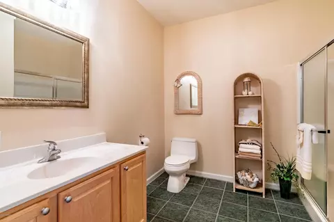 727 Possum Track Rd, Chocowinity, NC 27817 photo 16