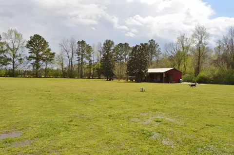 469 Webber Rd, Willard, NC 28478 photo 15