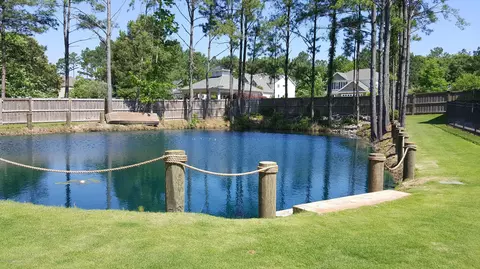 132 Roughleaf Trl, Hampstead, NC 28443 photo 31
