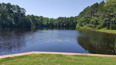 132 Roughleaf Trl, Hampstead, NC 28443 photo 33
