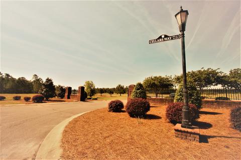 225 Cellars Way, Wallace, NC 28466 photo 53