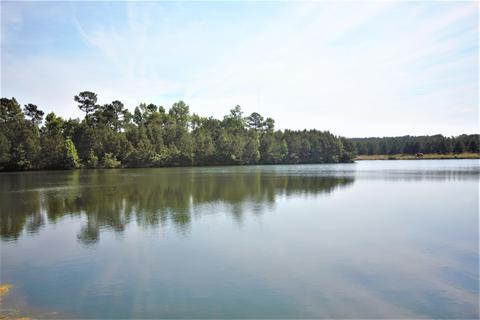 225 Cellars Way, Wallace, NC 28466 photo 45