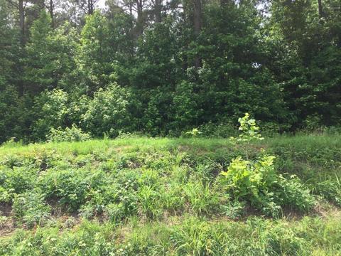 7838 Bailey Rd, Bailey, NC 27807 photo 1