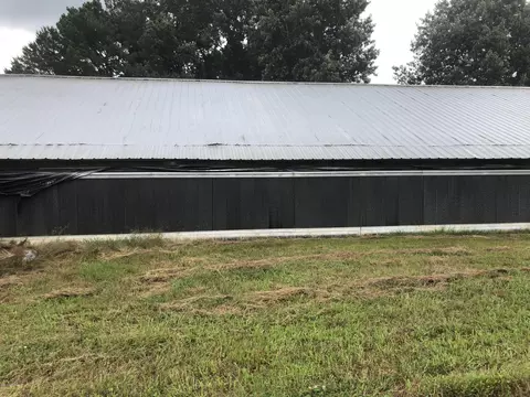 125 Pollocks Rd, Windsor, NC 27983 photo 22