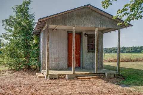 1903 Shingleton Rd, Stantonsburg, NC 27883 photo 22
