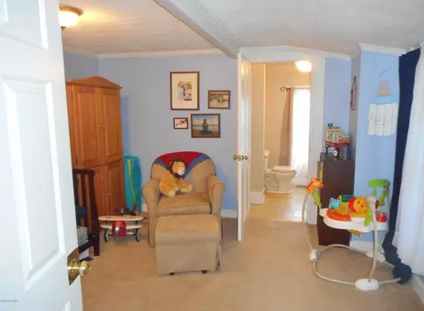309 E Railroad St, Spring Hope, NC 27882 photo 35