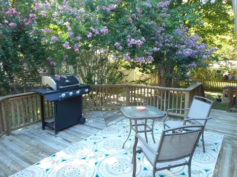 309 E Railroad St, Spring Hope, NC 27882 photo 17