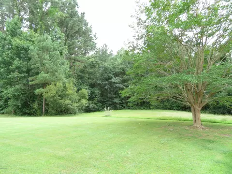 119 Boleyn Loop, New Bern, NC 28562 photo 35