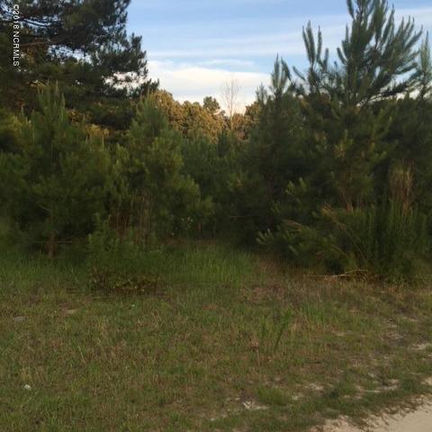 232 Squirrel Ln, Maxton, NC 28364 photo 2