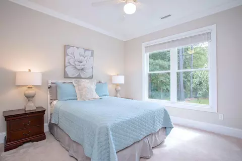 213 Iris Way, Hampstead, NC 28443 photo 34