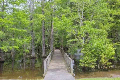 213 Iris Way, Hampstead, NC 28443 photo 60