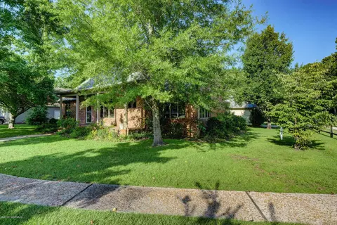 102 Olde Point Rd, Hampstead, NC 28443 photo 5