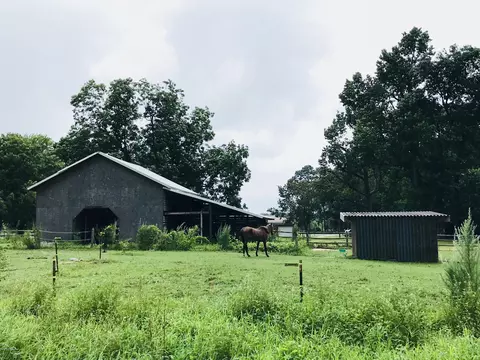 1480 Brewer Rd, Faison, NC 28341 photo 42