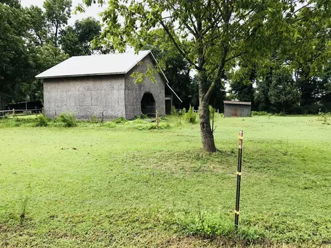 1480 Brewer Rd, Faison, NC 28341 photo 46
